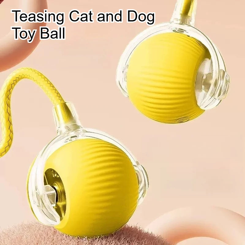 Dog and cat teaser ball toy
