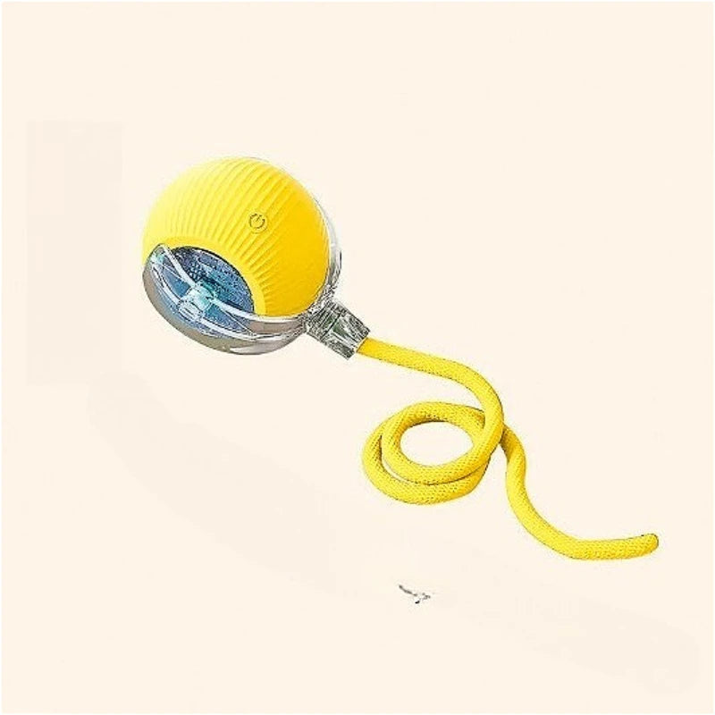 Dog and cat teaser ball toy
