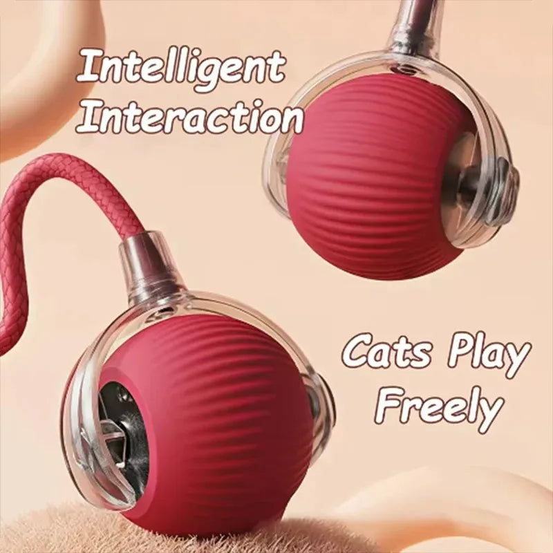 Dog and cat teaser ball toy