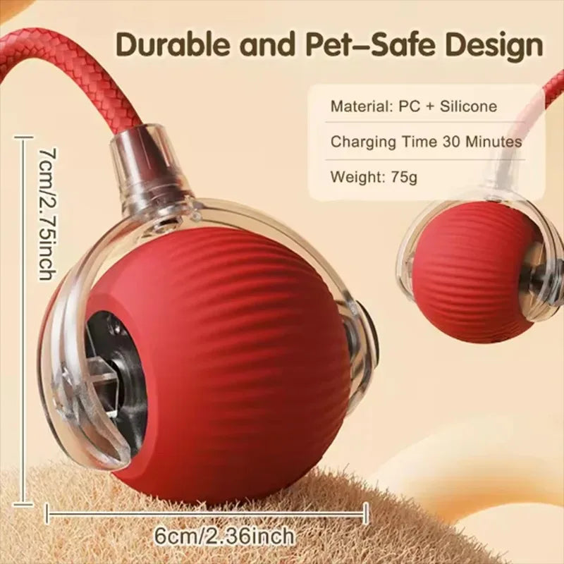 Dog and cat teaser ball toy