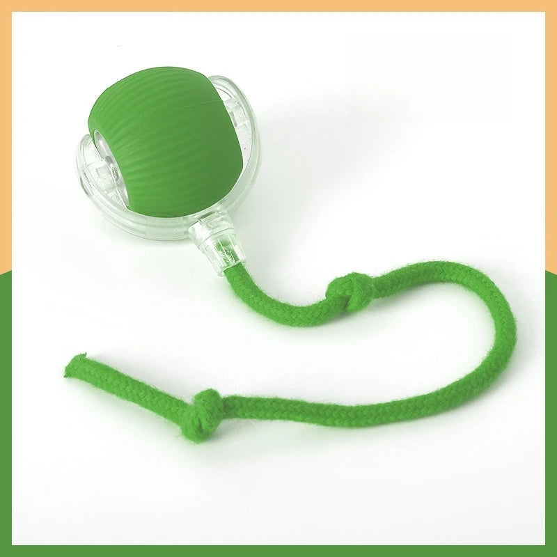 Dog and cat teaser ball toy