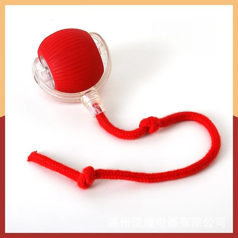 Dog and cat teaser ball toy